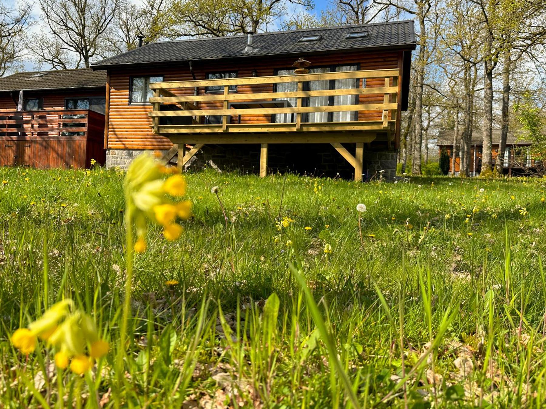South Soul Cottage Somme-Leuze Exterior photo